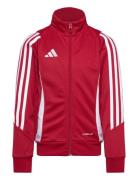 Tiro24 Trjkty Red Adidas Performance