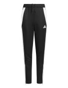 Tiro24 Trpty Black Adidas Performance