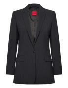 Aledoni Navy HUGO