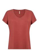 Sc-Marica Red Soyaconcept