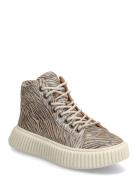 Bisgaard Debbie L Gold Bisgaard