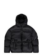 Cloud Puffer Bomber Black Alpha Industries