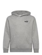 Ess Small No. 1 Logo Relaxed Hoodie Fl B Grey PUMA