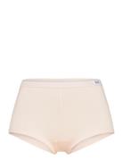 Women's Bamboo Legend Boxer Pink Frank Dandy