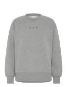 Iholinne Sw Grey ICHI