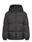 Hood Puffer Coat Black Mango