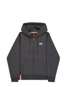 Basic Zip Hoodie Sl Brown Alpha Industries