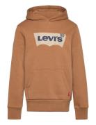Po-Pull-Over Hoody Beige Levi's