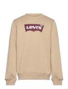 Fw-Crew Beige Levi's