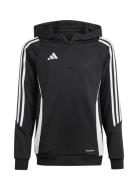 Tiro24 Trhoody Black Adidas Performance
