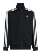 Firebird Top Black Adidas Originals