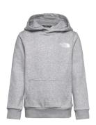 Teen Simple Dome Hoodie Grey The North Face