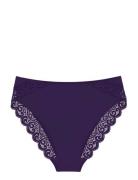 Amourette Tai Purple Triumph