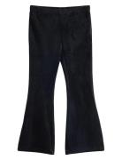 Flared Leggings In Velour Black Lindex