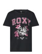 Lilyregular Vintage Black Roxy