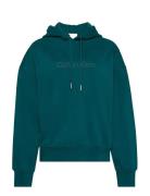 A- Logo Emb French Terry Po Hood Green Calvin Klein