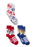 Socks Patterned Paw Patrol