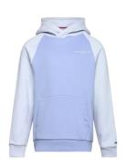Mini Corp Logo Hoodie Blue Tommy Hilfiger