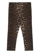 Tnstpenny Leggings Brown The New