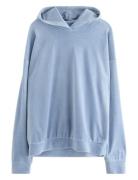 Sweatshirt Hood Velour Blue Lindex
