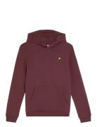 Brush Back Pullover Hoodie Burgundy Lyle & Scott