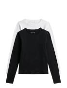 2 Pack Ls T-Shirt Patterned Tommy Hilfiger