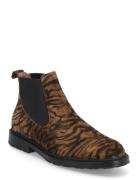 Eva 60 Brown Wonders