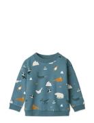 Thora Printed Sweatshirt Blue Liewood