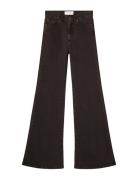 Fuji Brown Jeanerica