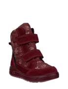 Urban Snowboarder Burgundy ECCO