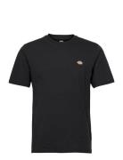 Mapleton Ss Tee Black Dickies