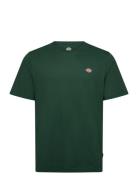 Mapleton Ss Tee Green Dickies