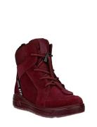 Urban Snowboarder Burgundy ECCO