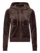 Robertson Gold Hoodie Brown Juicy Couture