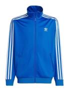 Firebird Top Blue Adidas Originals