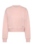 A - Cropped Badge Logo Sweatshir Cream Calvin Klein Jeans