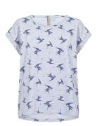 Sc-Galina Blue Soyaconcept