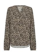 Sc-Van Black Soyaconcept