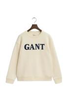 Graphic C-Neck Sweat Cream GANT