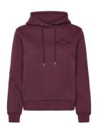 Reg Tonal Shield Hoodie Burgundy GANT