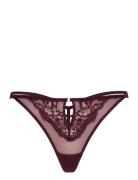 Cinnamon Hl String Tr Burgundy Hunkemöller