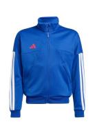 J Hot Ttop Blue Adidas Sportswear