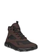Mx M Brown ECCO
