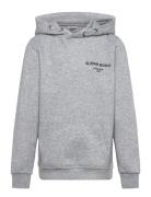 Borg Essential 1 Hoodie Grey Björn Borg