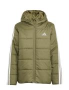 J Ess 3S Jkt Khaki Adidas Sportswear