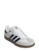 Samba Og C White Adidas Originals