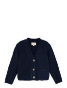 Cardigan Knit Navy Creamie