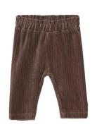 Pants Velour Brown Minymo