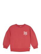 Sweater Brushed Print Red Daily 7