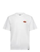 M Graysville Tee Ss White Dickies